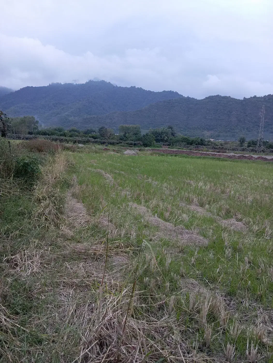 فروش فوری|فروش زمین و ملک کلنگی|لیسار, |دیوار