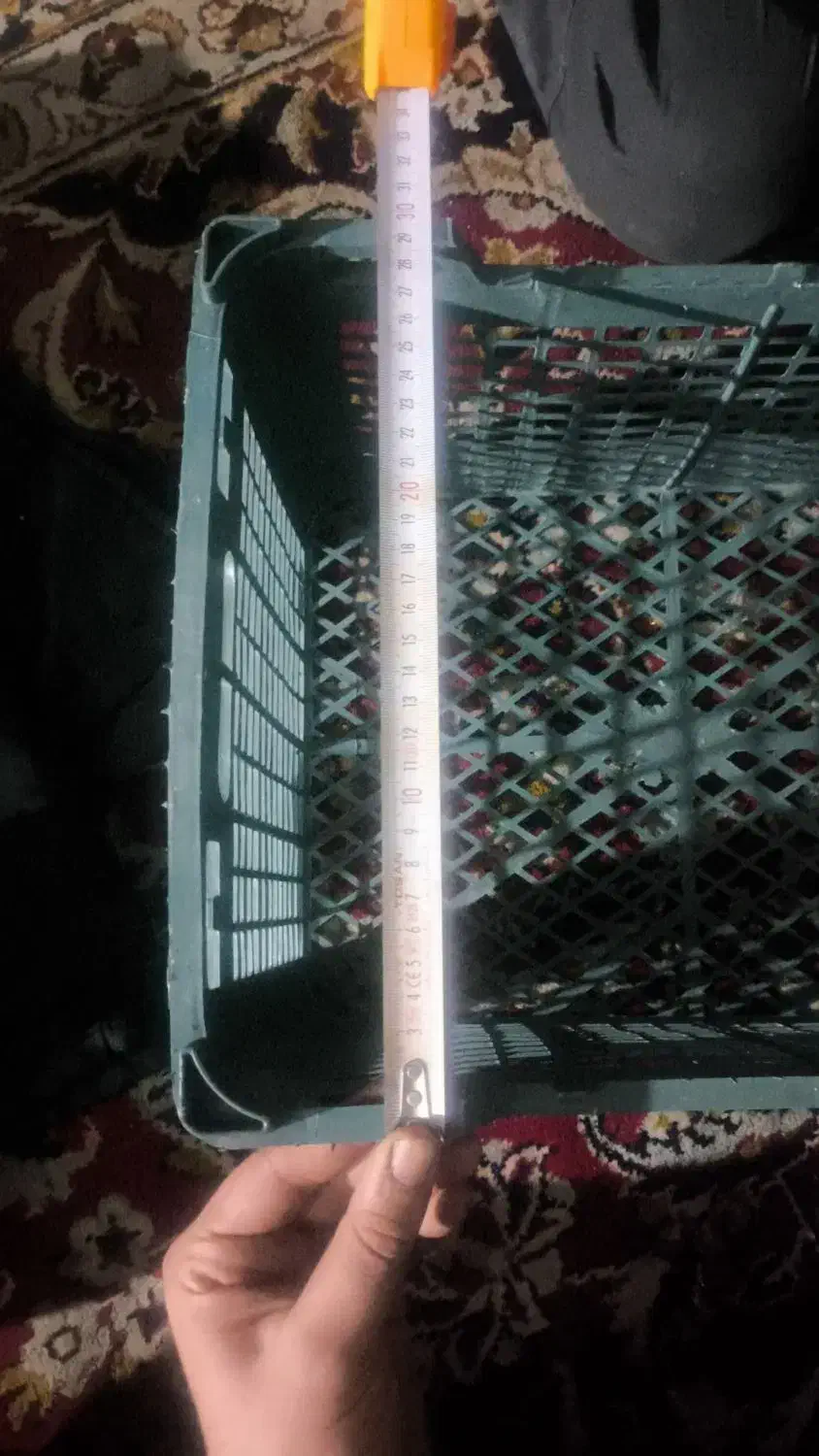 سبد مخصوص نارنگی و پرتغال و....|عمدهفروشی|قائمشهر, |دیوار