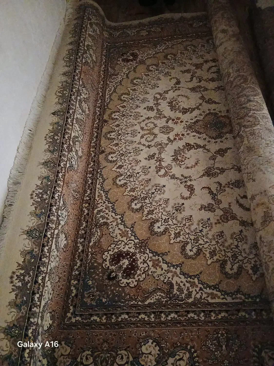 قالی وبالش|فرش|دوگنبدان, |دیوار