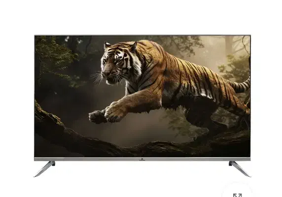 تلویزیون|تلویزیون و پروژکتور|قدس, شهرقدس|دیوار