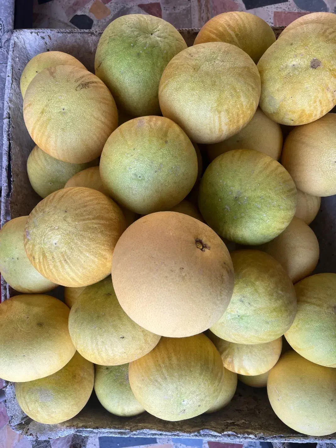 فروش سلطان مرکبات|خوردنی و آشامیدنی|نشتارود, |دیوار