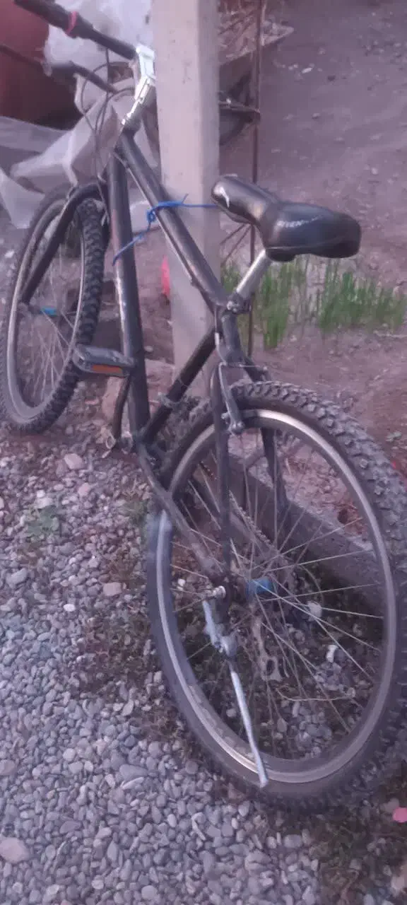 دوچرخه|دوچرخه، اسکیت، اسکوتر|خوی, |دیوار