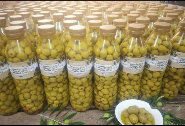 زیتون بدون هسته با کیفیت|خوردنی و آشامیدنی|مرودشت, بهارستان|دیوار