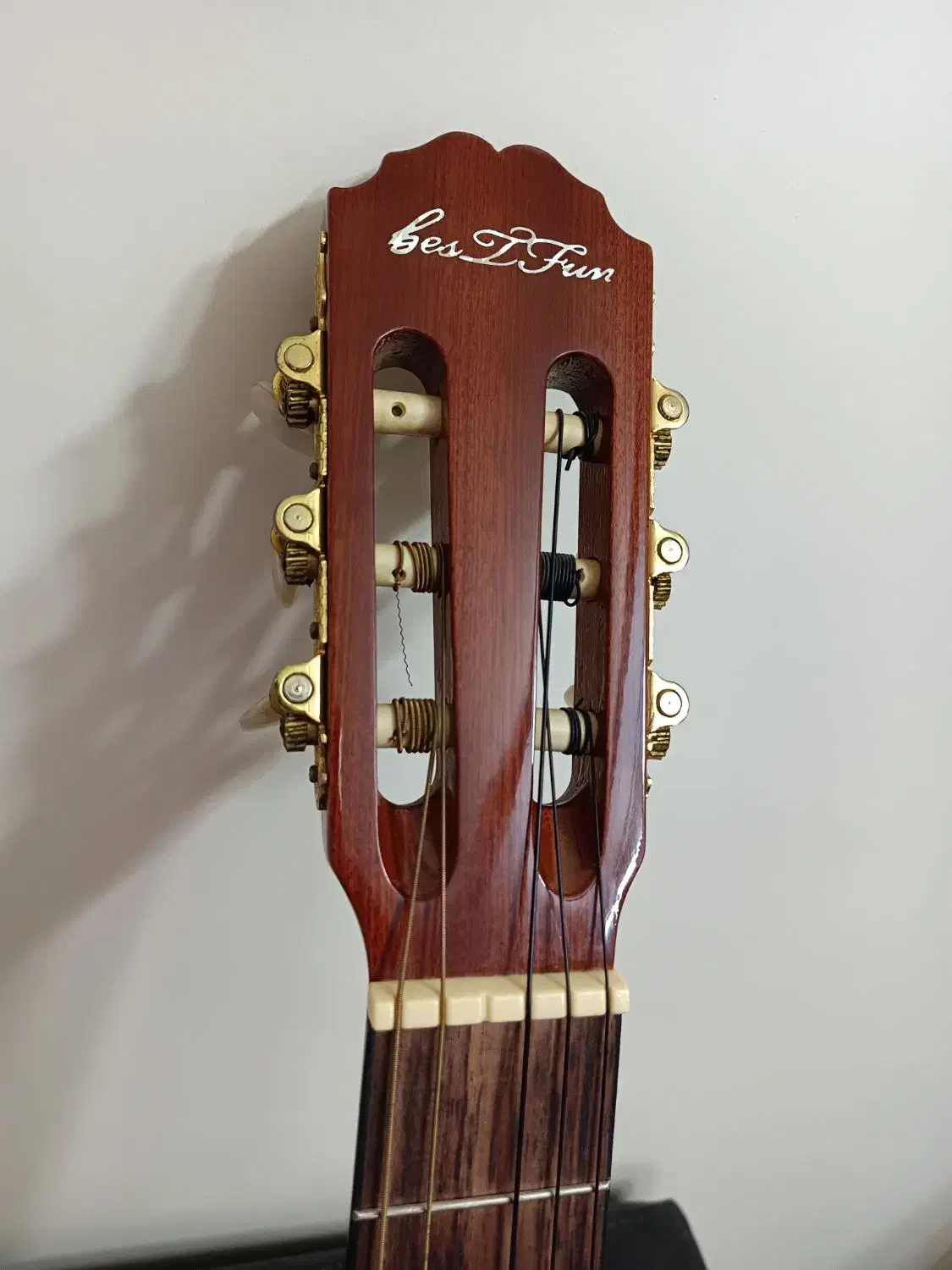 گیتار|گیتار، بیس، امپلیفایر|اصفهان, گلزار|دیوار