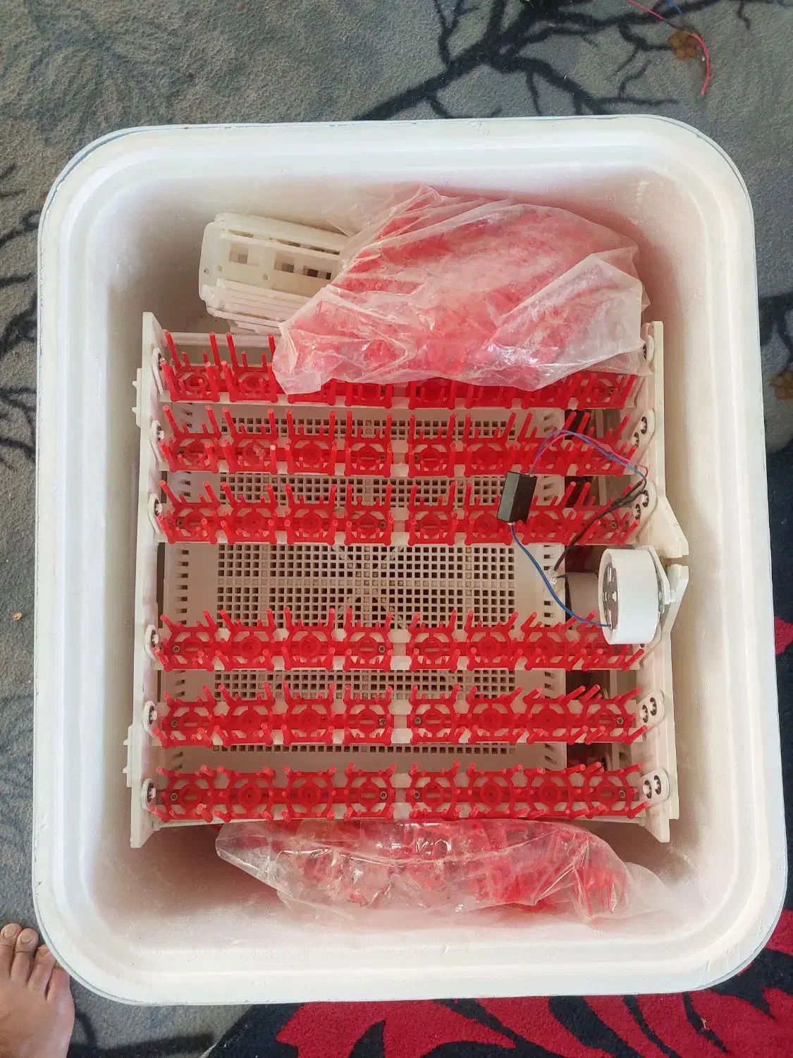 دستگاه جوجه کشی ایزی باتور۲|لوازم جانبی حیوانات|تربتحیدریه, کلاته توکلی|دیوار