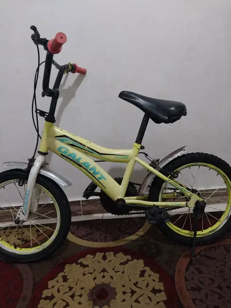 دوچرخهسواری|دوچرخه، اسکیت، اسکوتر|آستانه اشرفیه, |دیوار