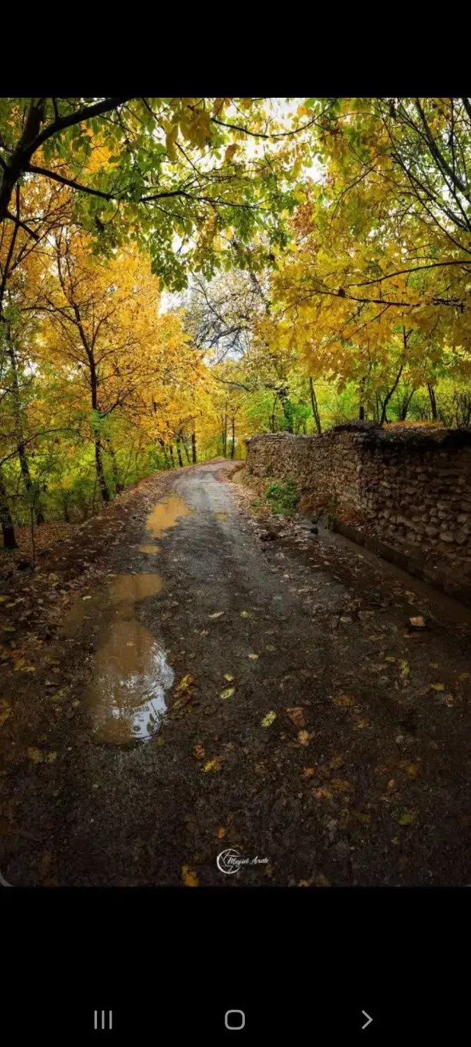 اجاره آپارتمان خیابان امام حسین ۲۲|اجارهٔ آپارتمان|گلپایگان, |دیوار