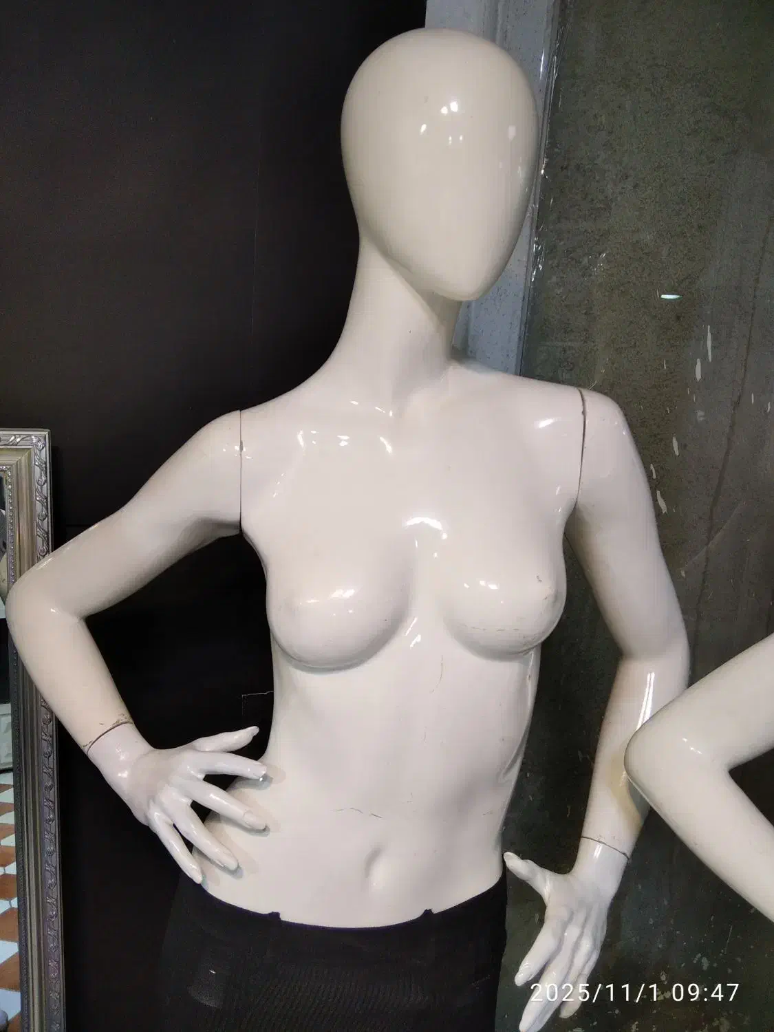 مانکن دست وپادار|فروشگاه و مغازه|سنندج, |دیوار