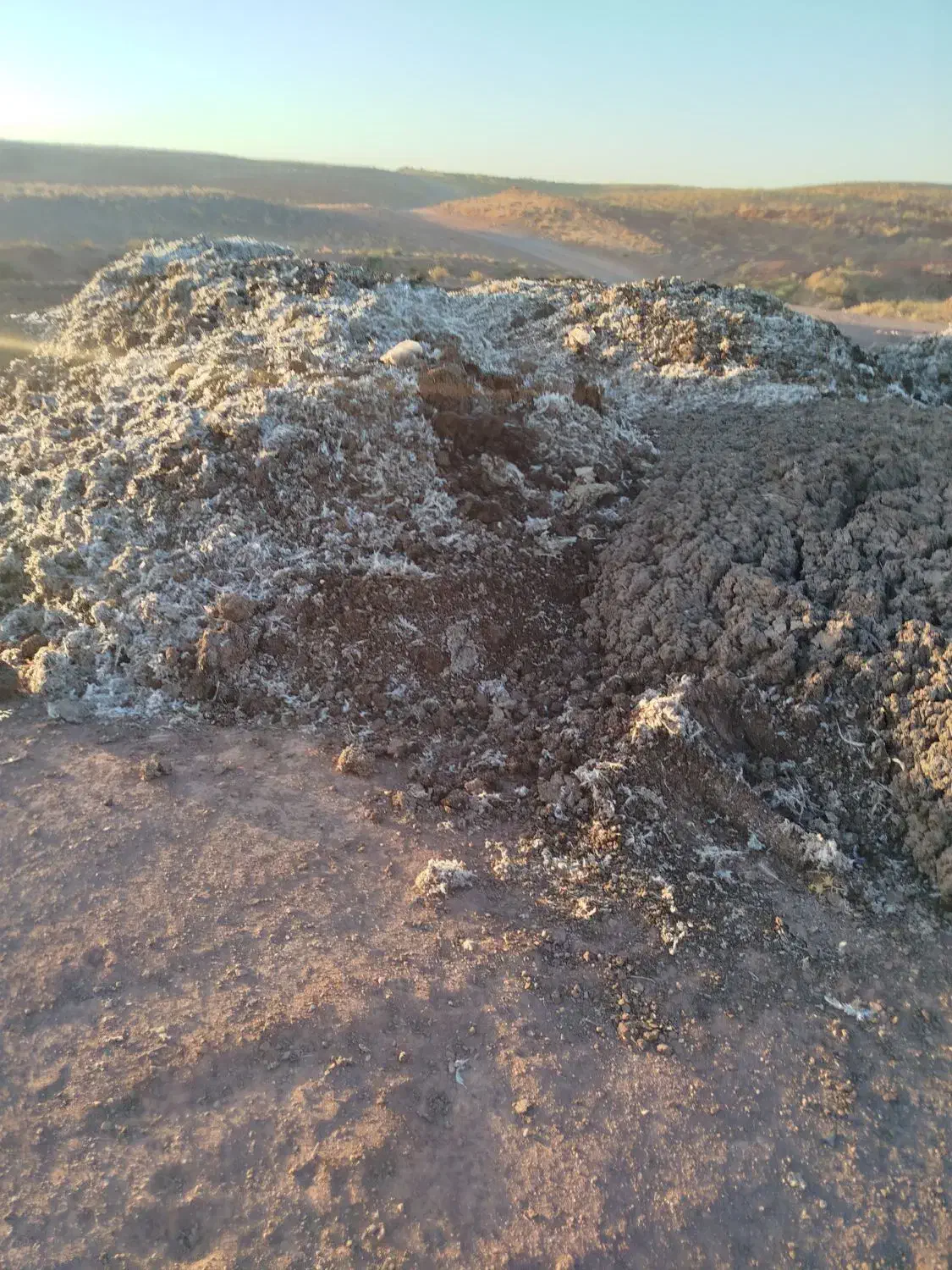 کود مرغ درجه یک|خدمات باغبانی و درختکاری|فریمان, |دیوار