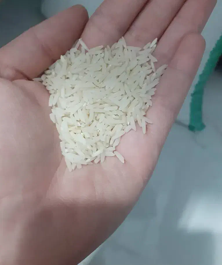 برنج هاشمی درجه یک|خوردنی و آشامیدنی|رشت, جماران|دیوار