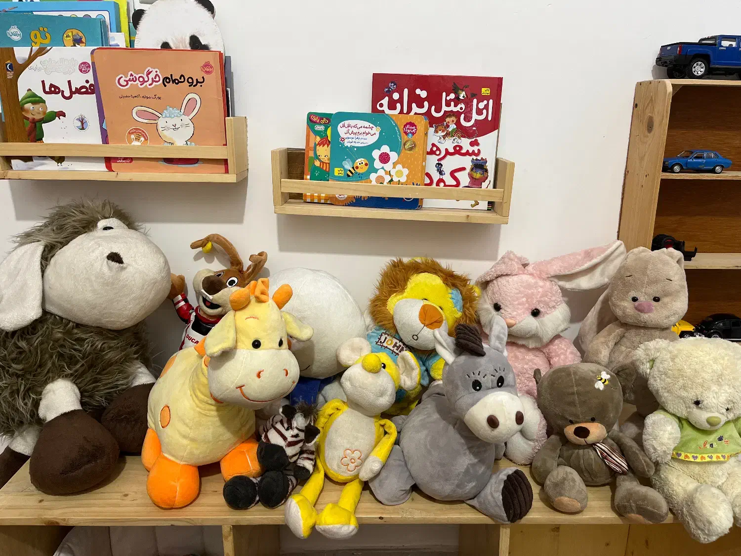 عروسک|اسباب‌بازی بچه|ساری, |دیوار