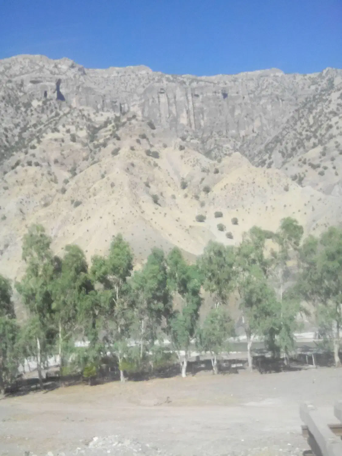 کار در خانه|فعالیت داوطلبانه|اندیمشک, |دیوار