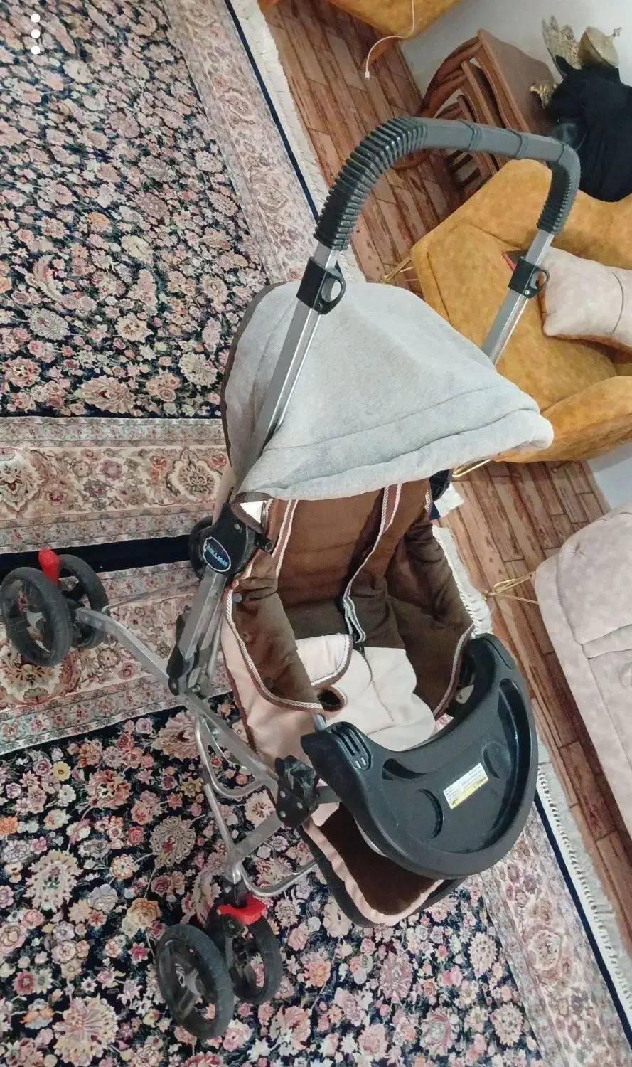 کالسکه وکریر دلیجان|کالسکه و لوازم جانبی|کبودرآهنگ, |دیوار