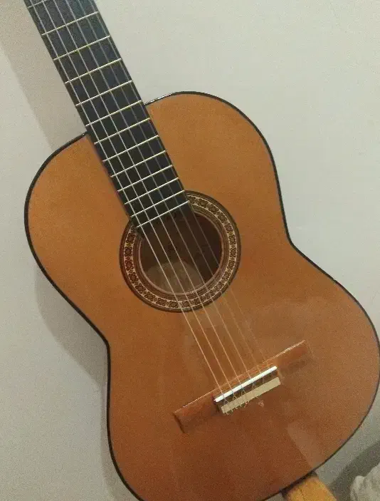 گیتار|گیتار، بیس، امپلیفایر|اصفهان, جنیران (لادان)|دیوار