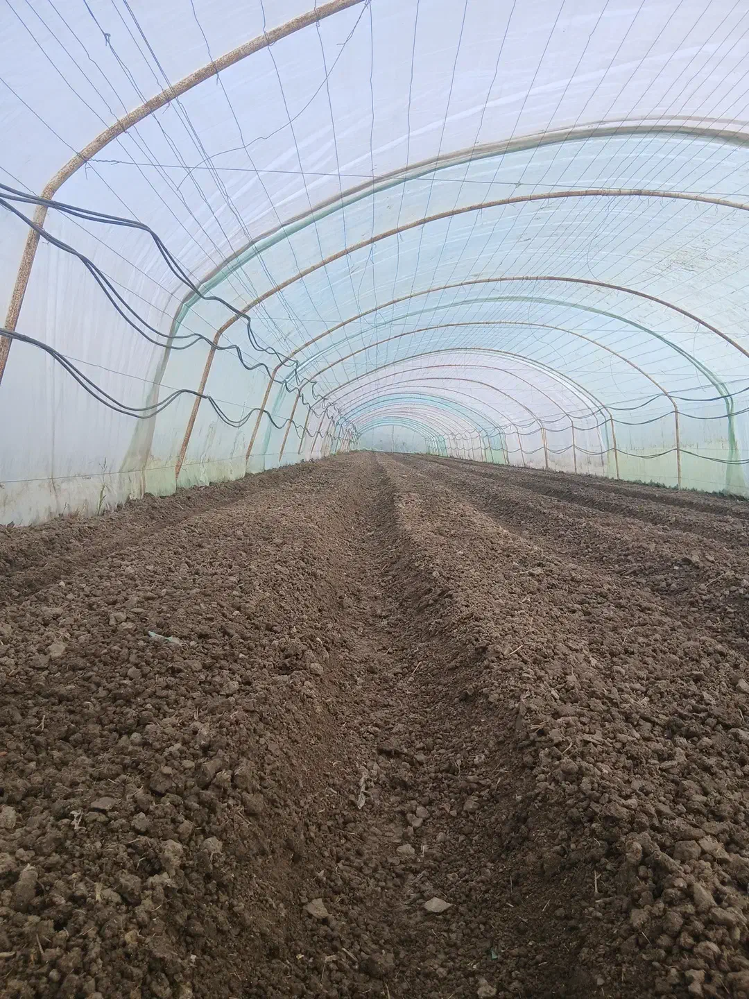 نیرو ماهر می‌خوام  گلخانه خیار با حقوق خوب|استخدام صنعتی، فنی، مهندسی|ساری, |دیوار