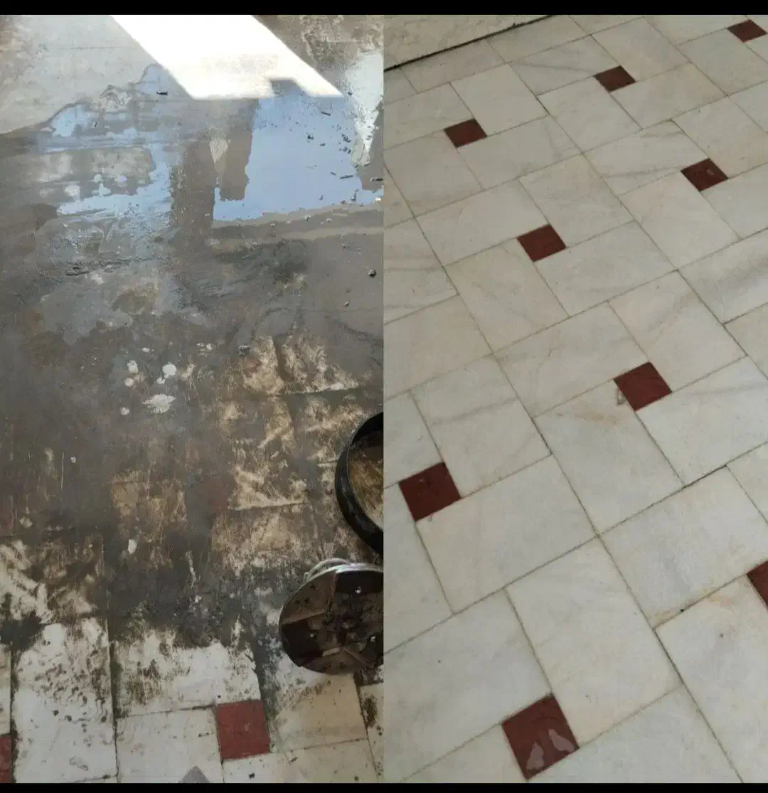 شرکت خدماتی کفسابی بیانکو|خدمات نظافت|بندرعباس, |دیوار