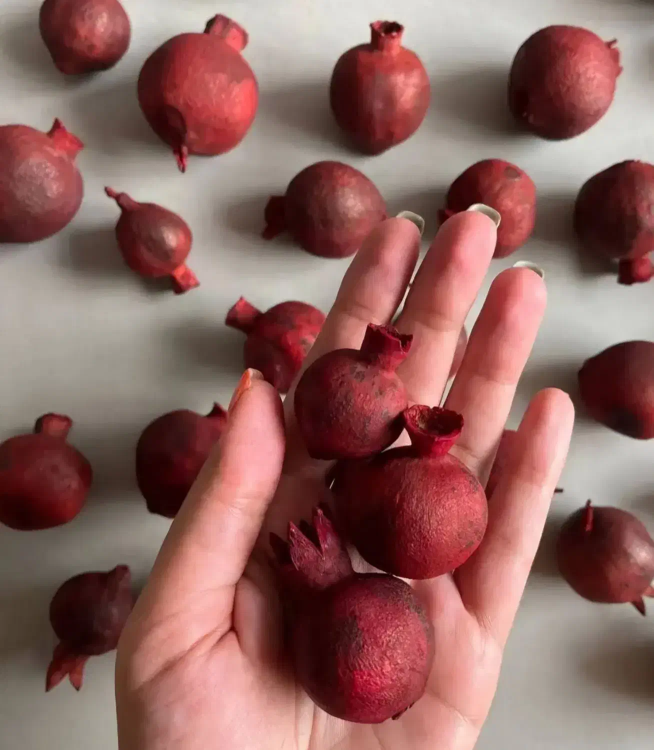 انار سفره یلدا|گل و گیاه طبیعی|سبزوار, همت|دیوار