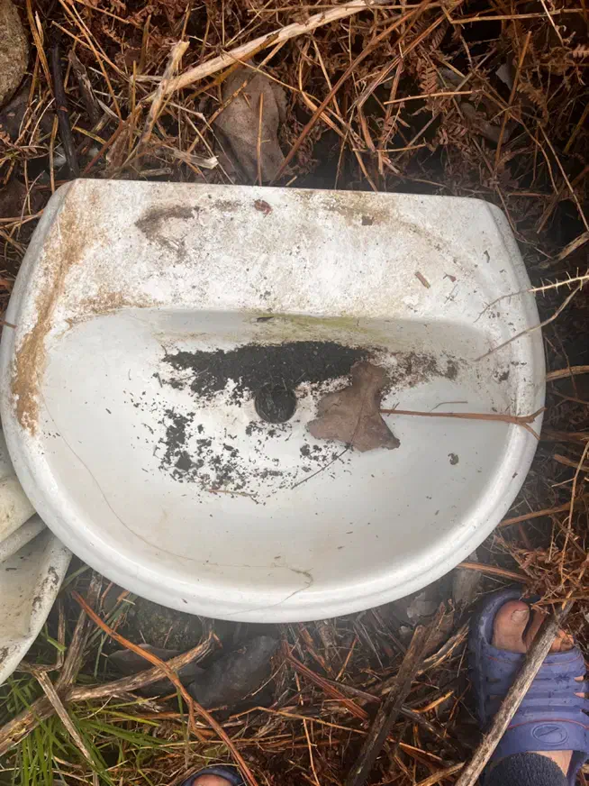 فرنگی و روشویی|لوازم سرویس بهداشتی|صومعه‌سرا, |دیوار