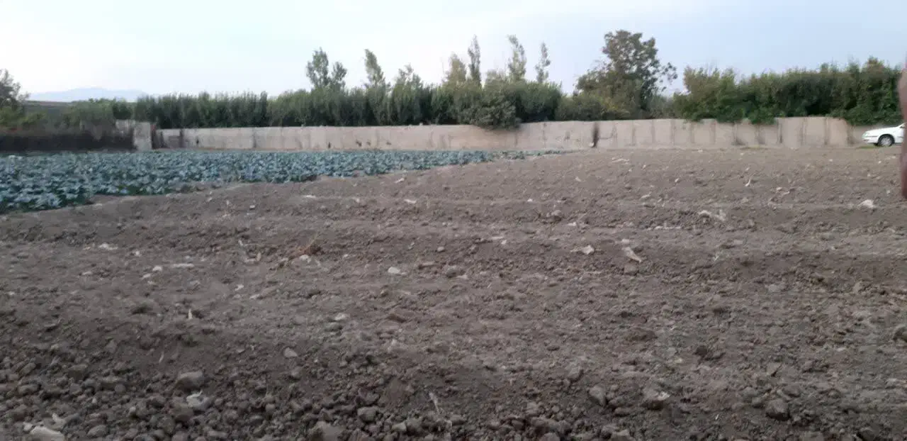 زمین ۸۳۰ متری|فروش زمین و ملک کلنگی|شهریار, دهشاد بالا|دیوار