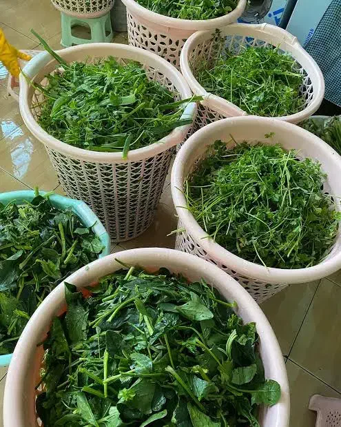 سبزی خورشتی با کیفیت وتازه|خوردنی و آشامیدنی|یاسوج, |دیوار