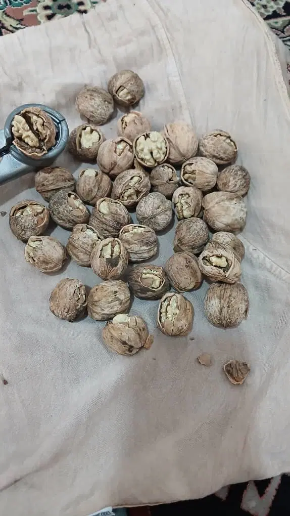 گردو|خوردنی و آشامیدنی|تهران, کامرانیه|دیوار