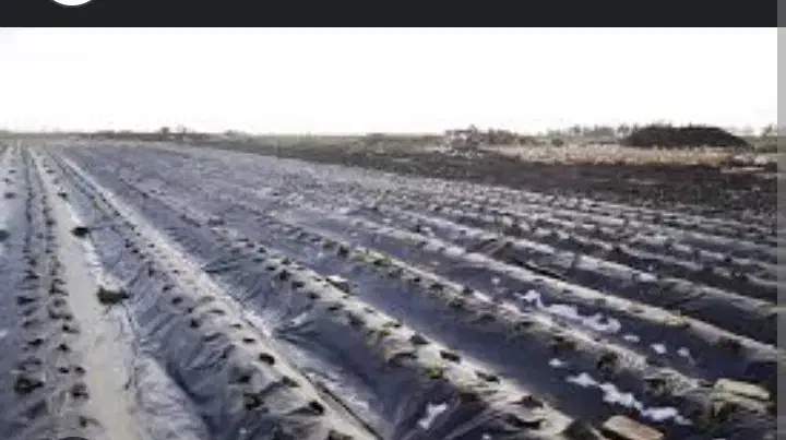 ی توپ پلاستیک هوازی عرض ۳ متر وزن ۴۱ کیلو|عمده‌فروشی|آزادشهر, |دیوار