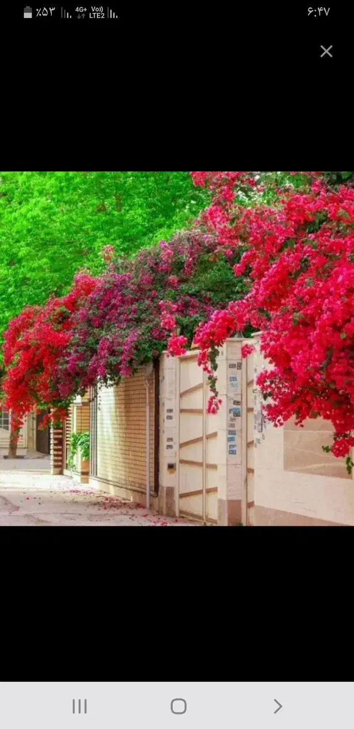 فروش زمین تجاری و مسکونی کوزران|فروش زمین و ملک کلنگی|کوزران, |دیوار