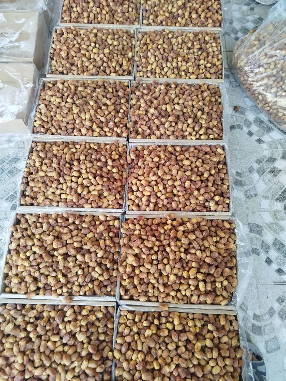 خرمای زاهدی(قصب)|خوردنی و آشامیدنی|قیروکارزین, |دیوار