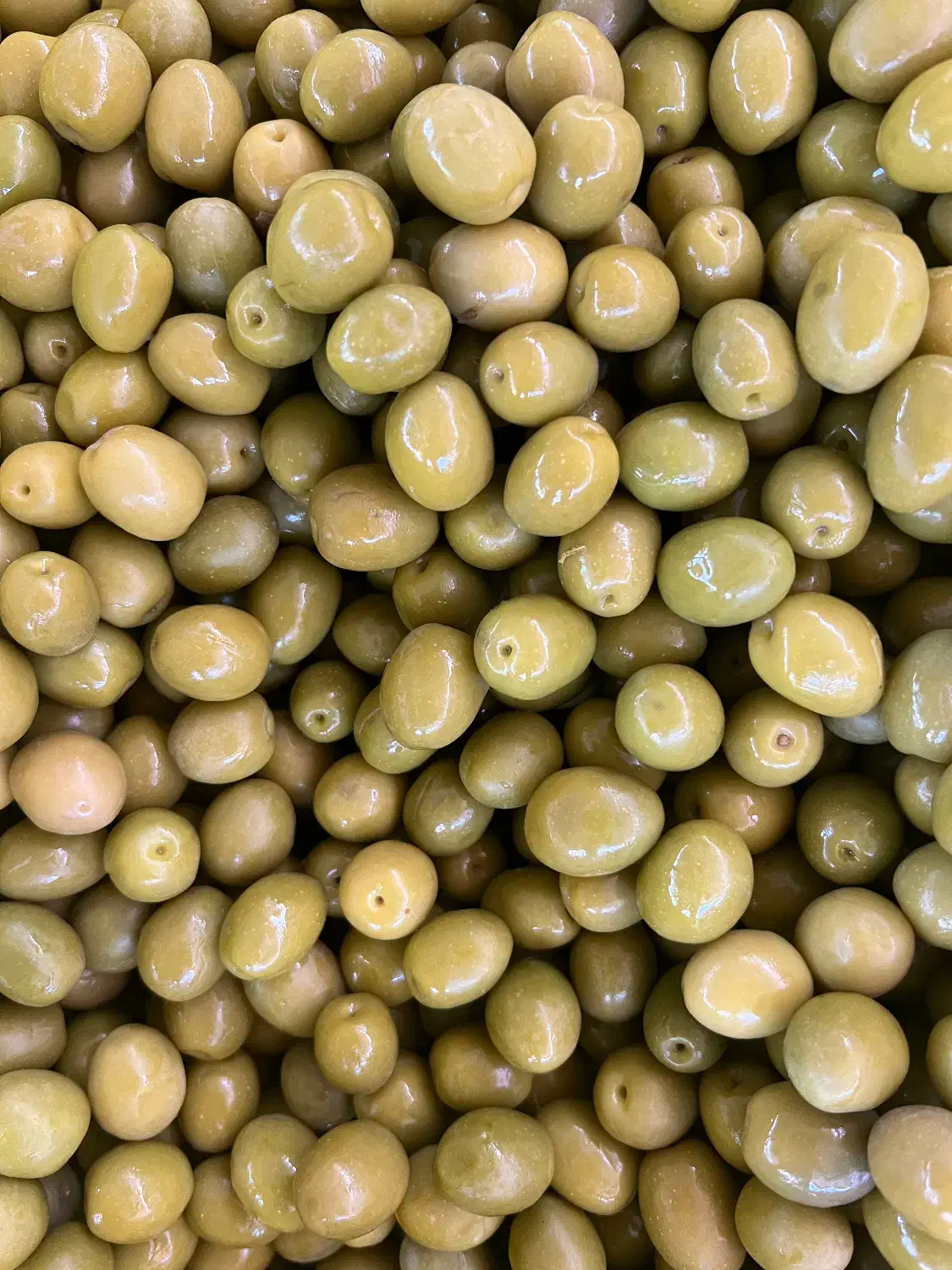 زیتون سوپر|خوردنی و آشامیدنی|تهران, میدان میوه و تره‌بار مرکزی|دیوار