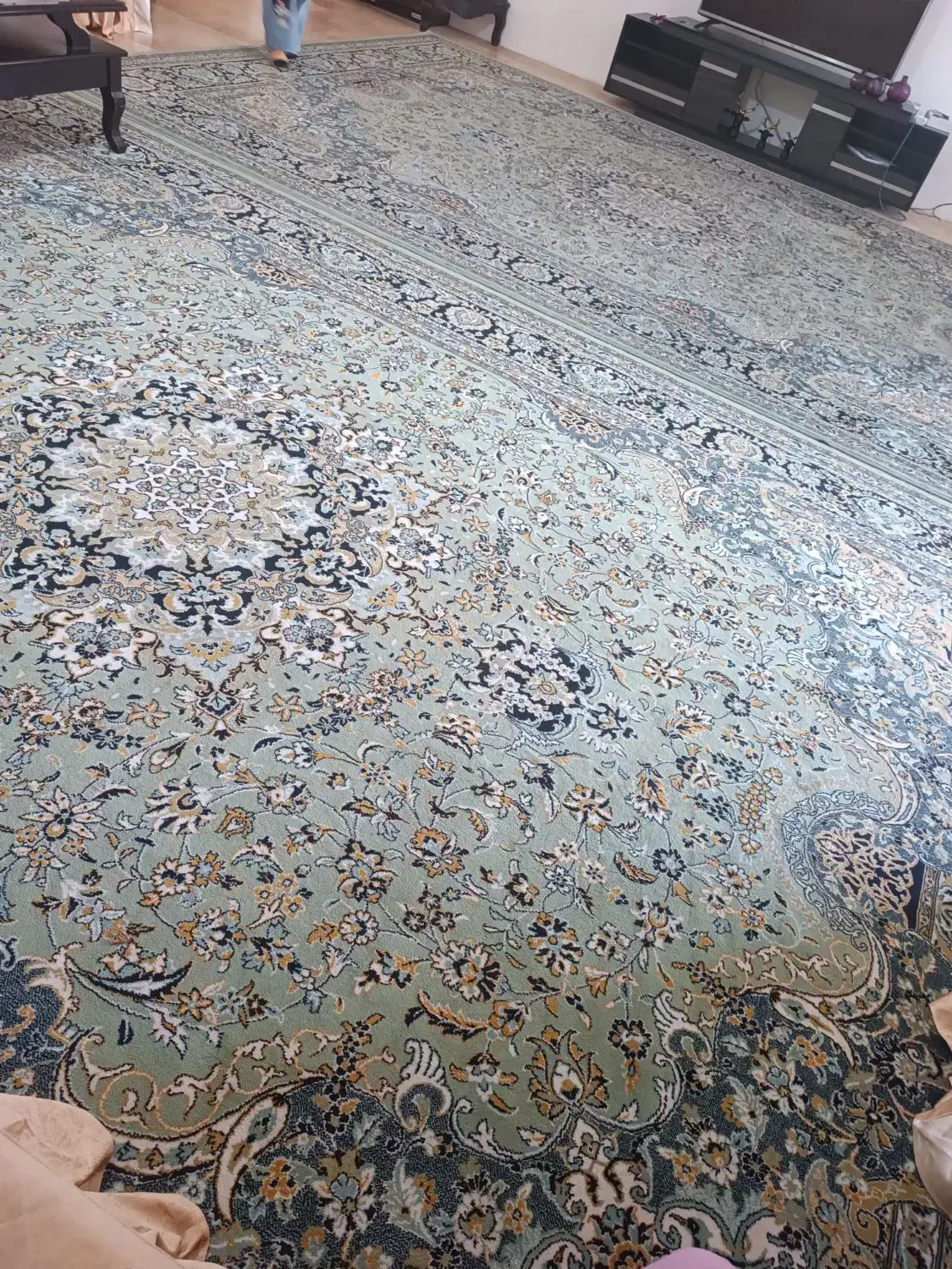 فرش ۱۲متری|فرش|ارومیه, |دیوار