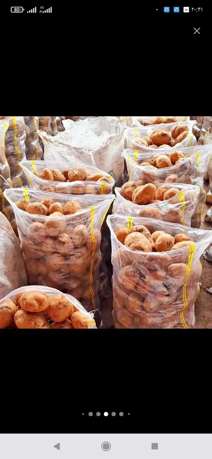 سیب متوسط سیب زمینی درهم|عمده‌فروشی|بهار, |دیوار