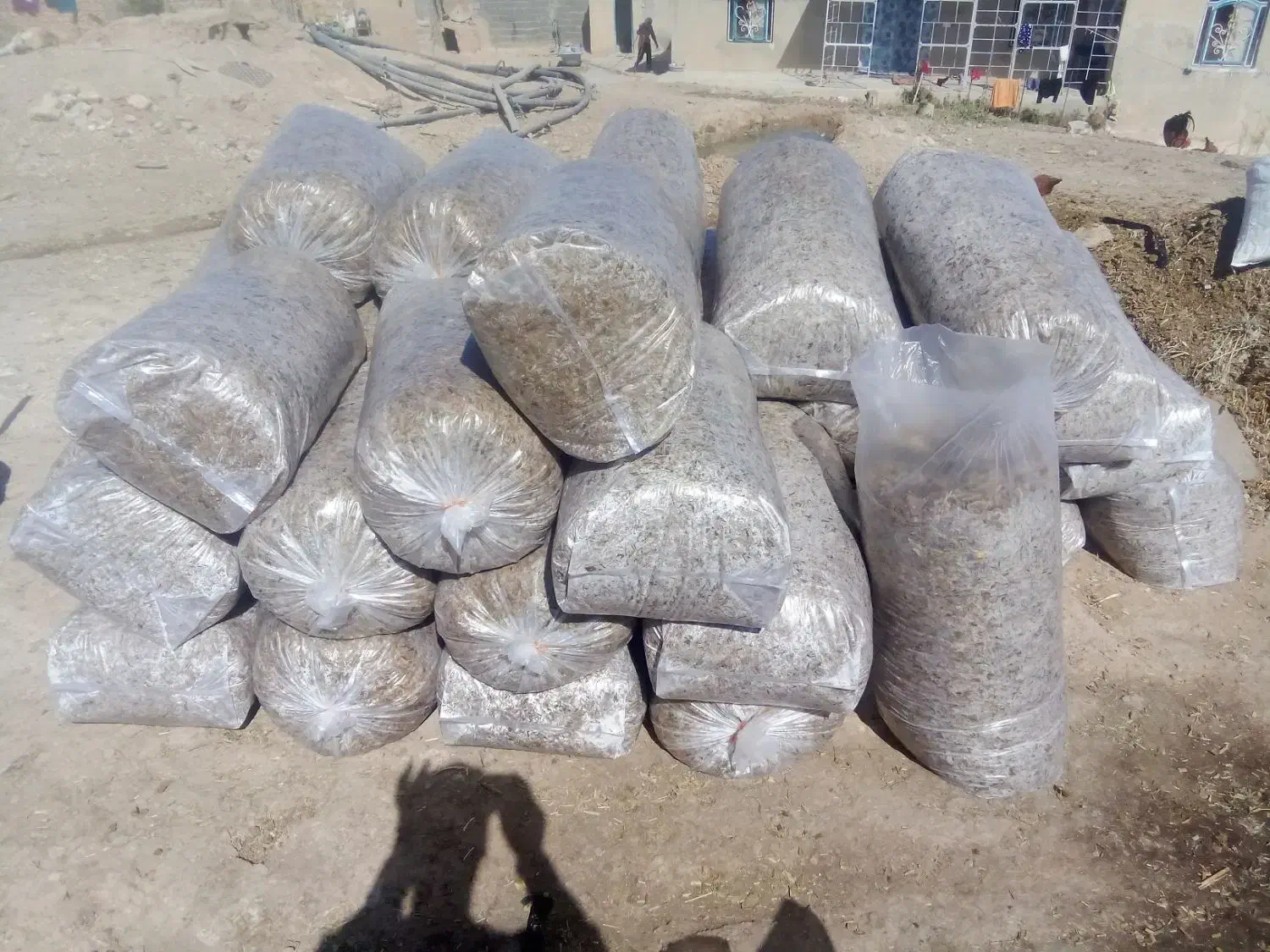 بلال|خوردنی و آشامیدنی|قیدار, |دیوار