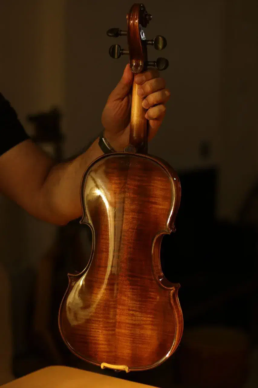 ویولن فونیکس MVZ301 E 4/4 (پایین ترین قیمت بازار)|ویولن|همدان, |دیوار