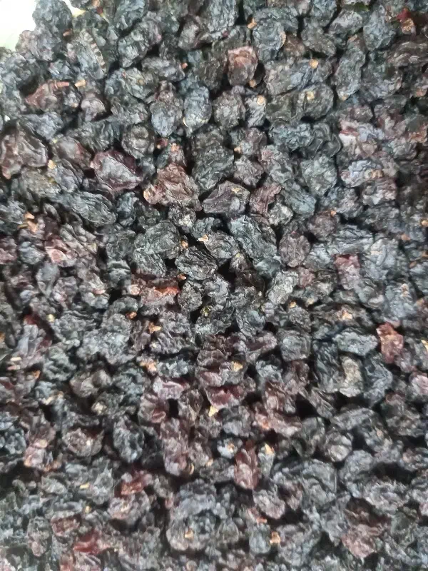 کشمش پلویی|خوردنی و آشامیدنی|شیراز, مسلم|دیوار