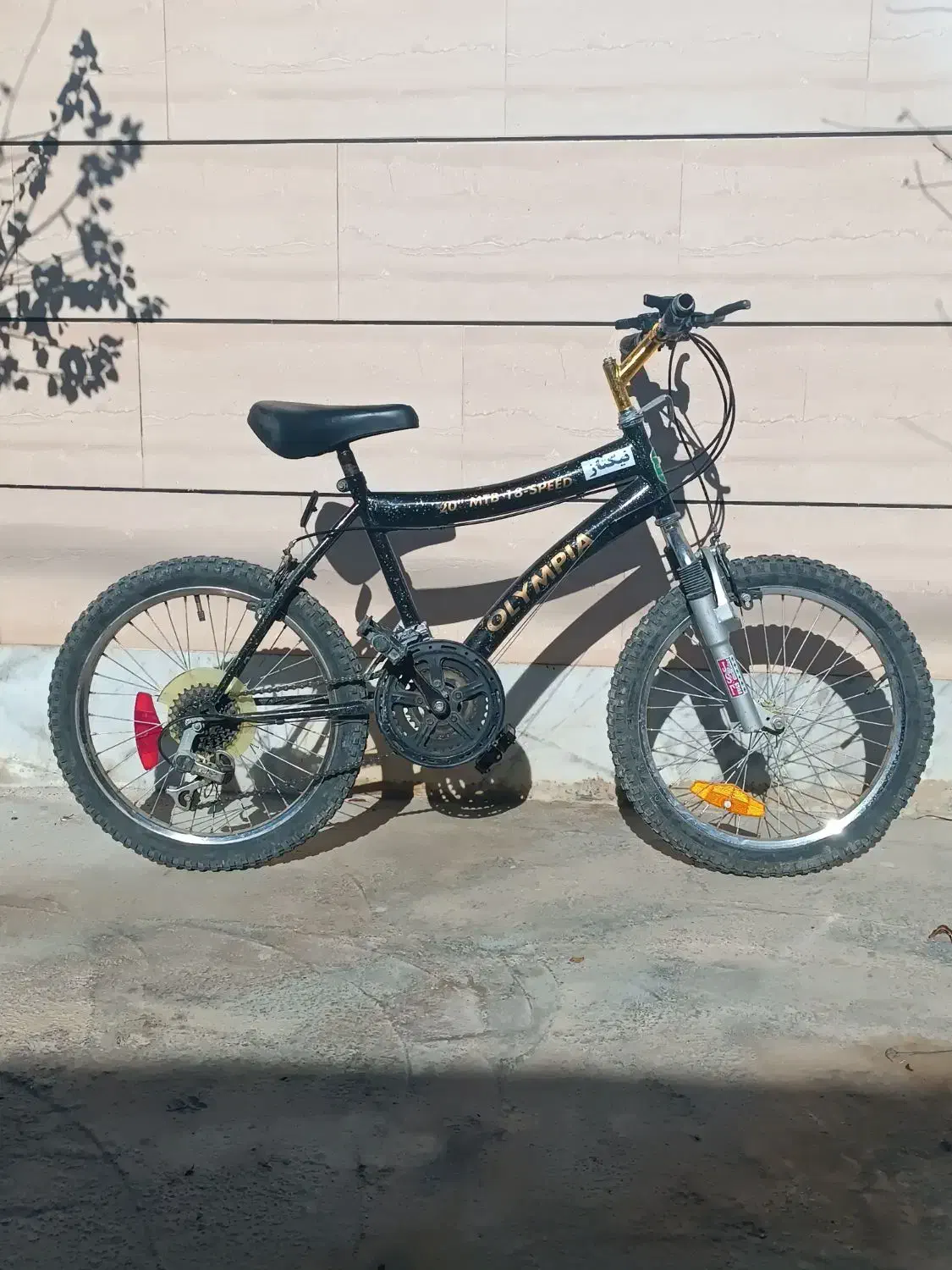 دوچرخه 20|دوچرخه، اسکیت، اسکوتر|کلاله, |دیوار