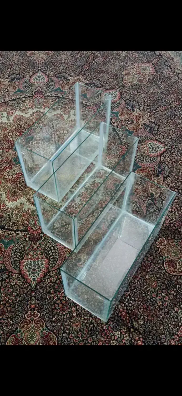 آکواریم آماده ۲ عدد|ماهی|سیرجان, |دیوار