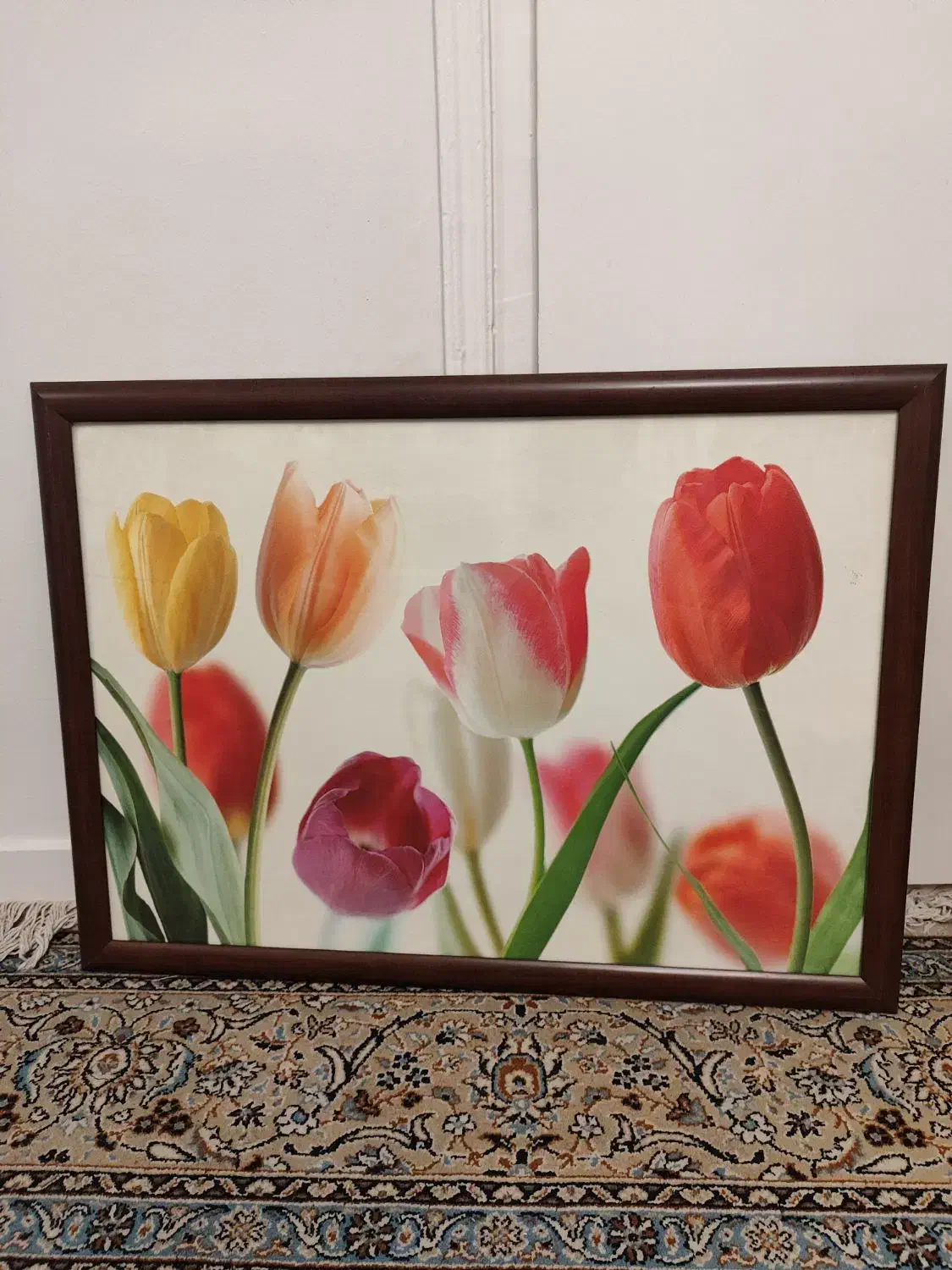 تابلو عکس قاب شده|تابلو، نقاشی، عکس|تهران, شهرک فرهنگیان|دیوار