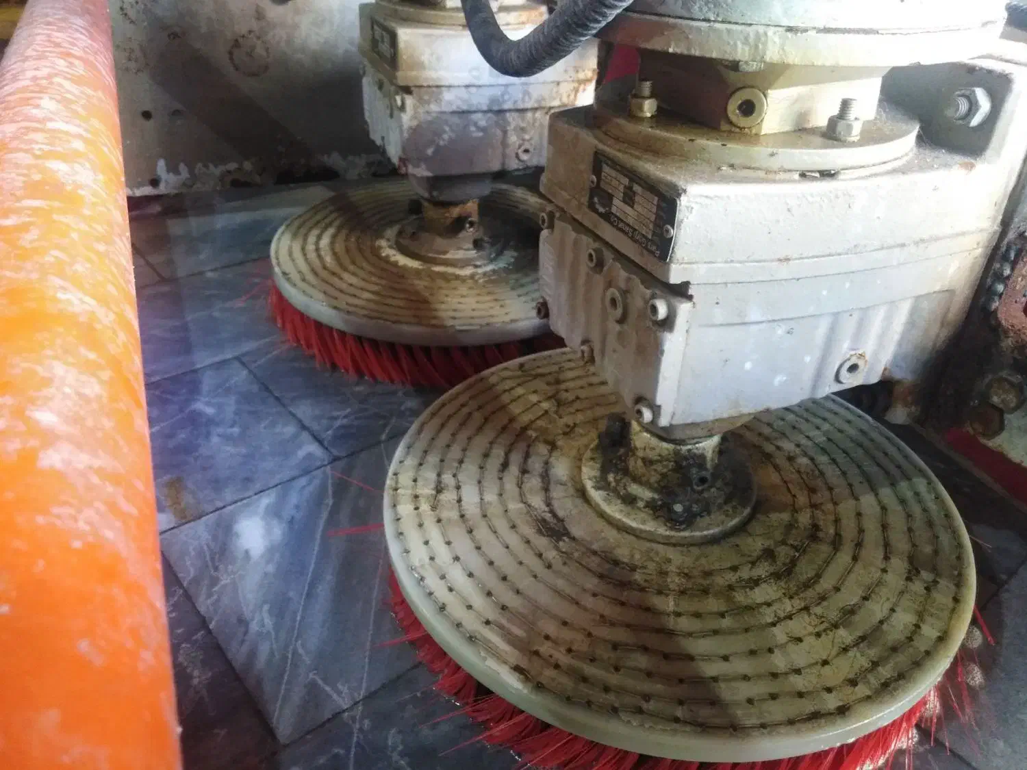 قالیشویی ومبل شویی عصر جدید|خدمات نظافت|چالوس, |دیوار