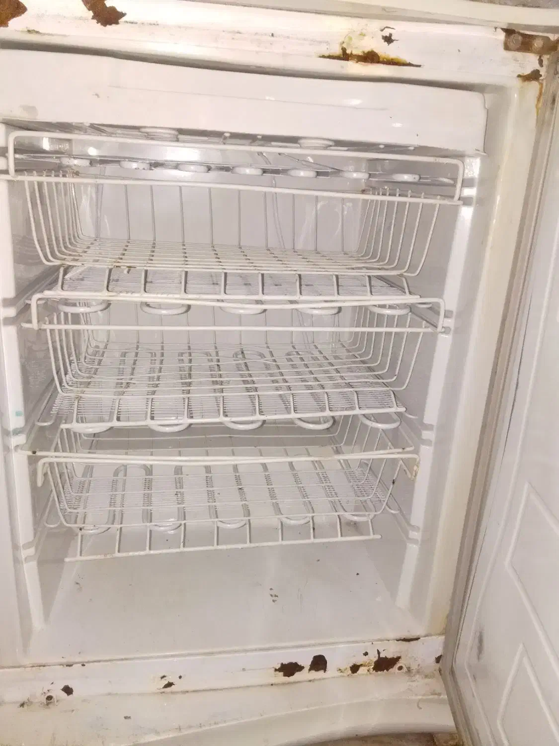 فروشی|یخچال و فریزر|رامشیر, |دیوار