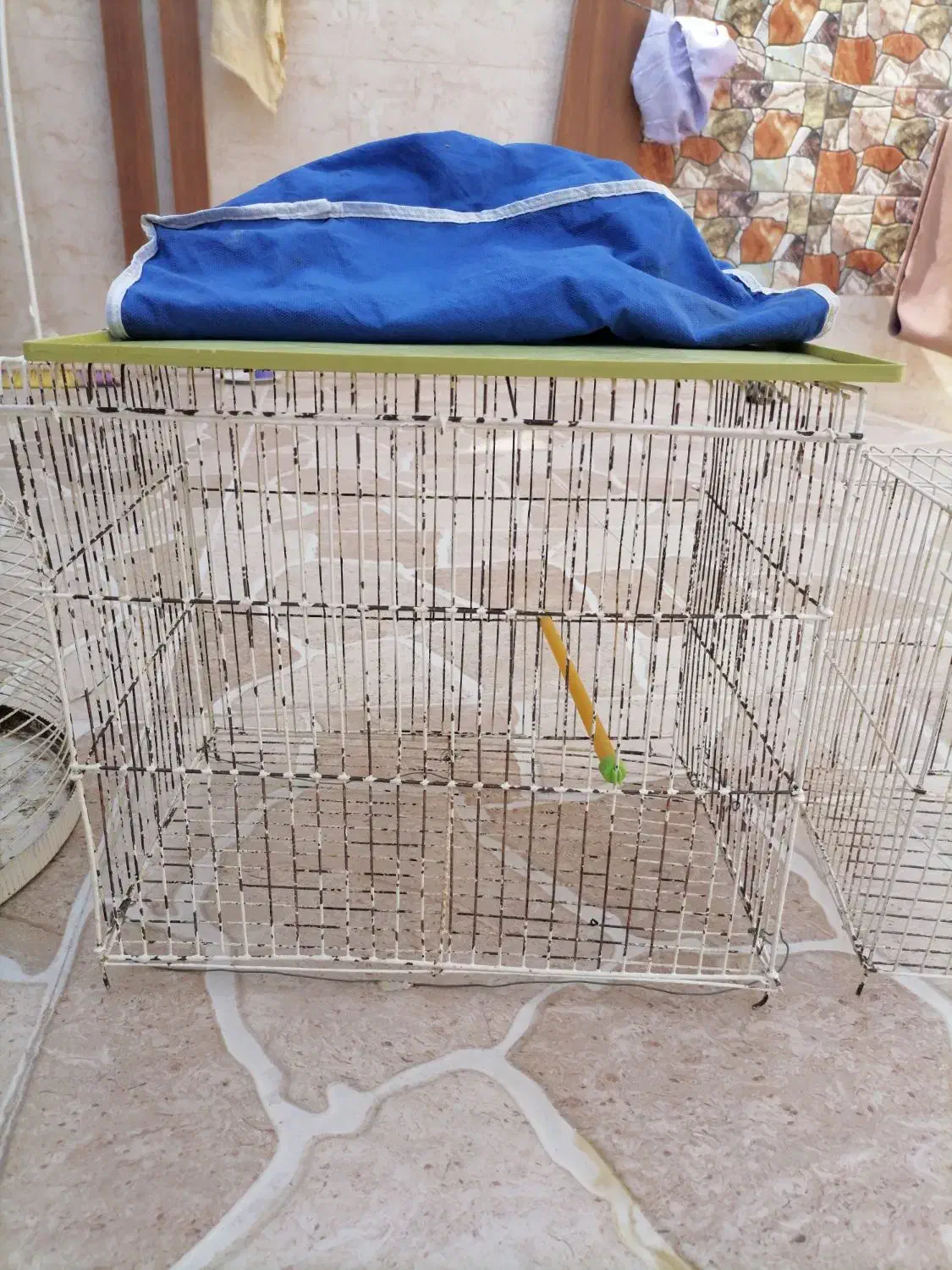 قفس پرنده|لوازم جانبی حیوانات|برازجان, |دیوار