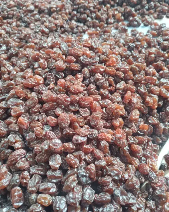 کشمش پلویی آفتاب خشک شده تبریز|خوردنی و آشامیدنی|ساری, |دیوار