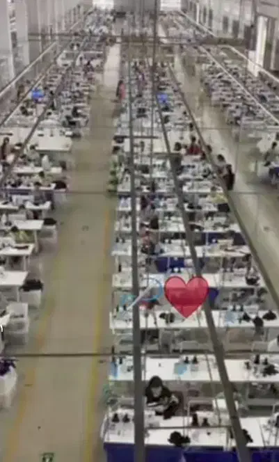 زیگزال دوز حرفه ای|استخدام صنعتی، فنی، مهندسی|اندیشه, شهرک مریم|دیوار