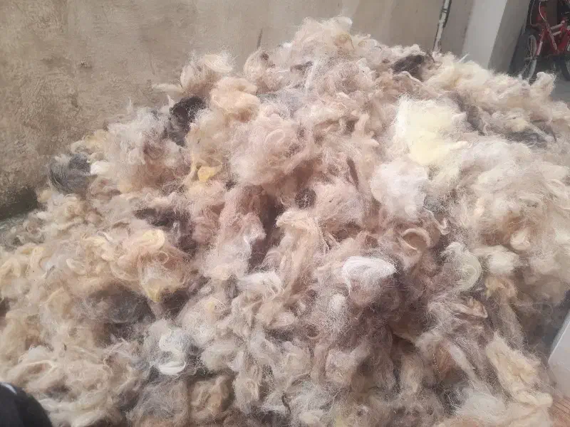 ۶عدد تشک پشم طبیعی|رختخواب، بالش، پتو|قائمشهر, |دیوار