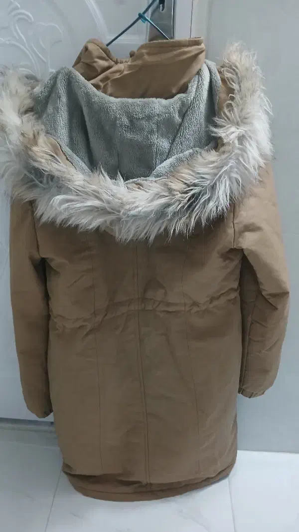 پالتو|لباس|میاندوآب, |دیوار