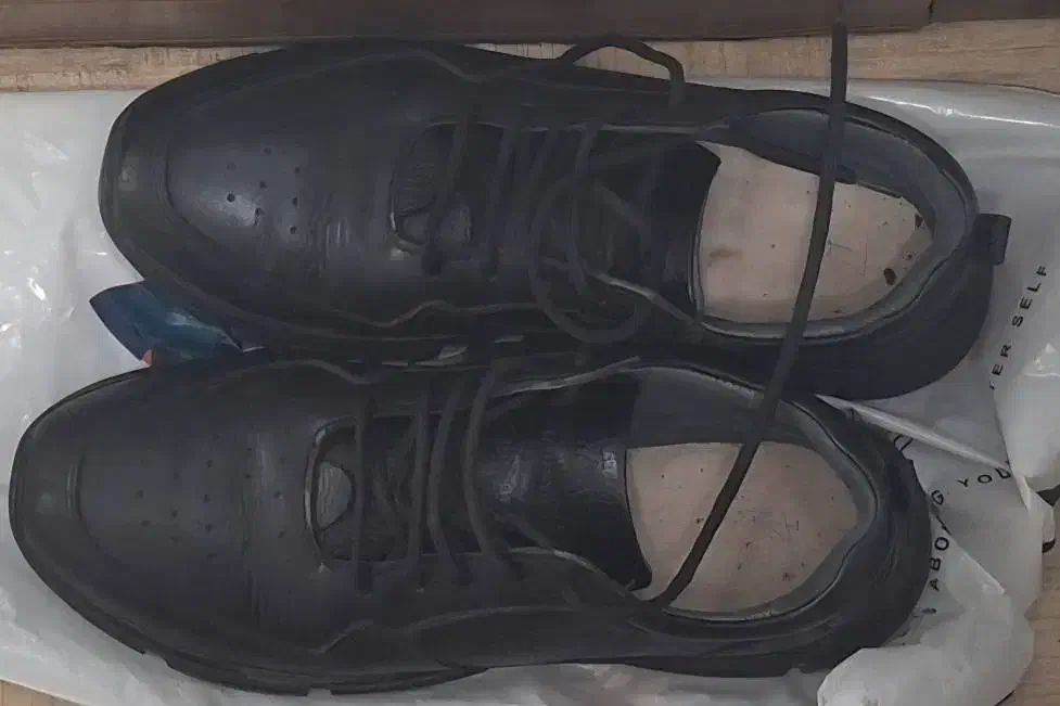 کتانی چرم اصل|کیف، کفش، کمربند|بندر انزلی, پردیس|دیوار