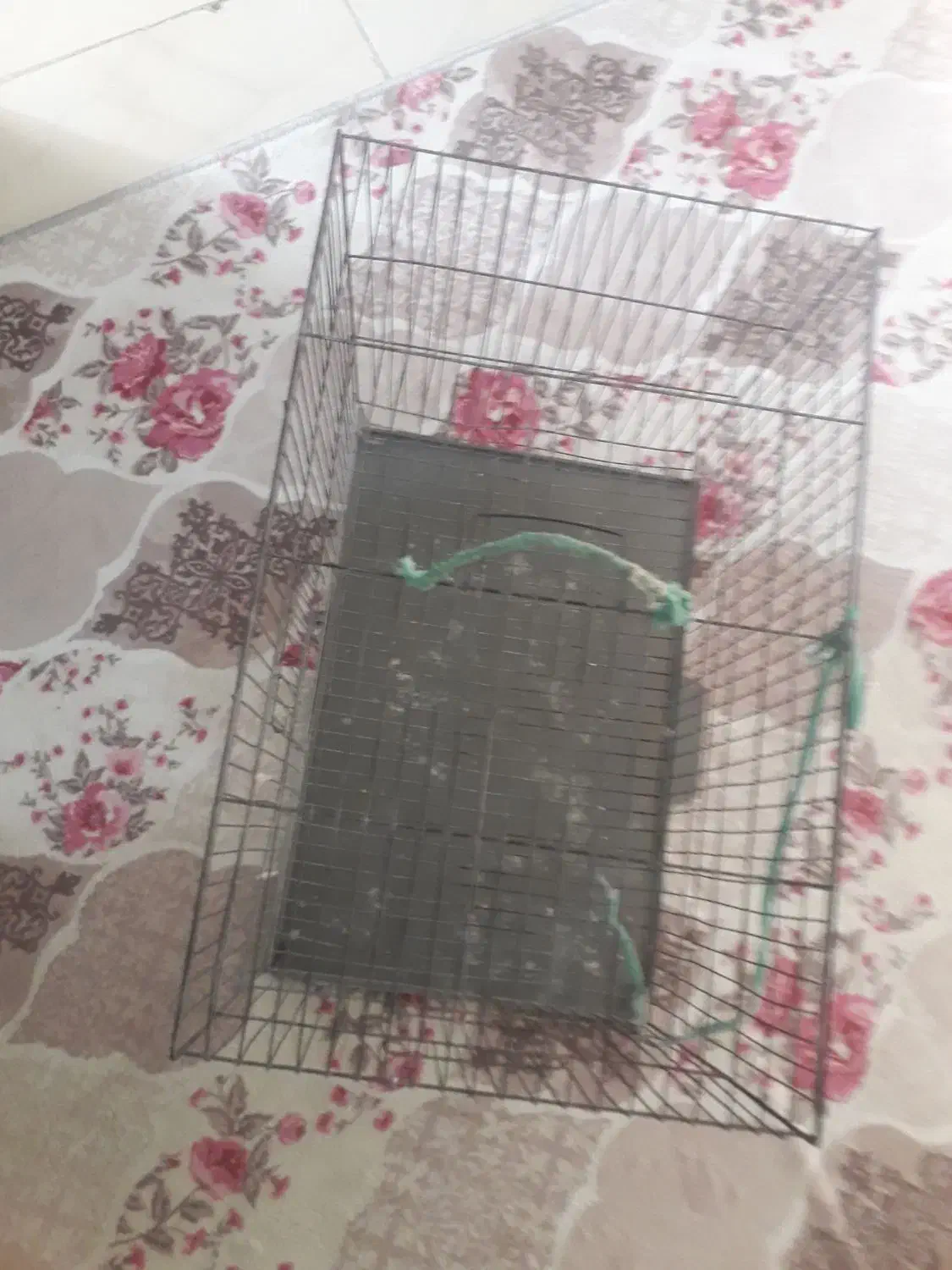 قفس پرنده|لوازم جانبی حیوانات|فردیس, شهرک شهید حسینی|دیوار