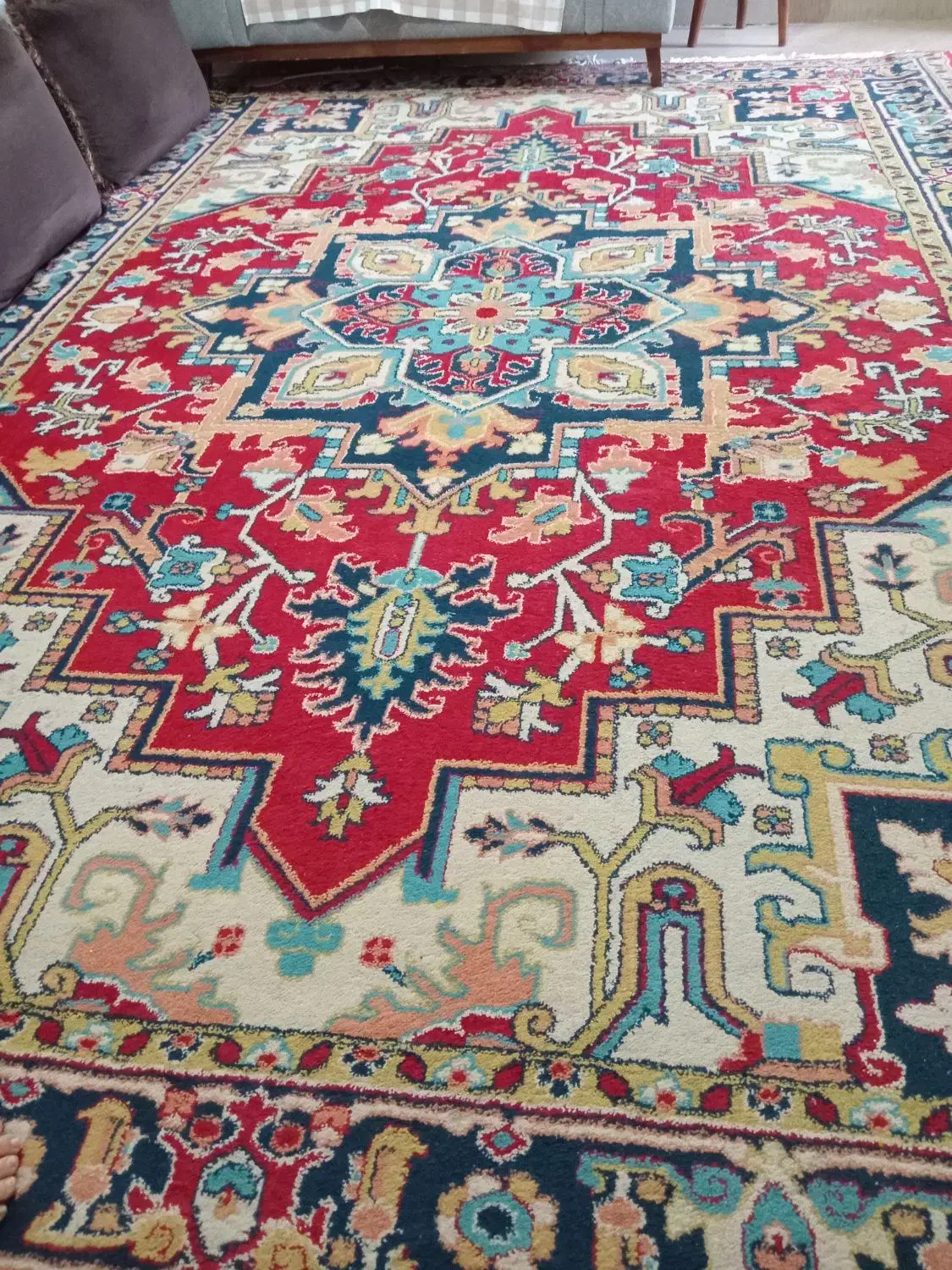 فرش|فرش|بندرعباس, |دیوار