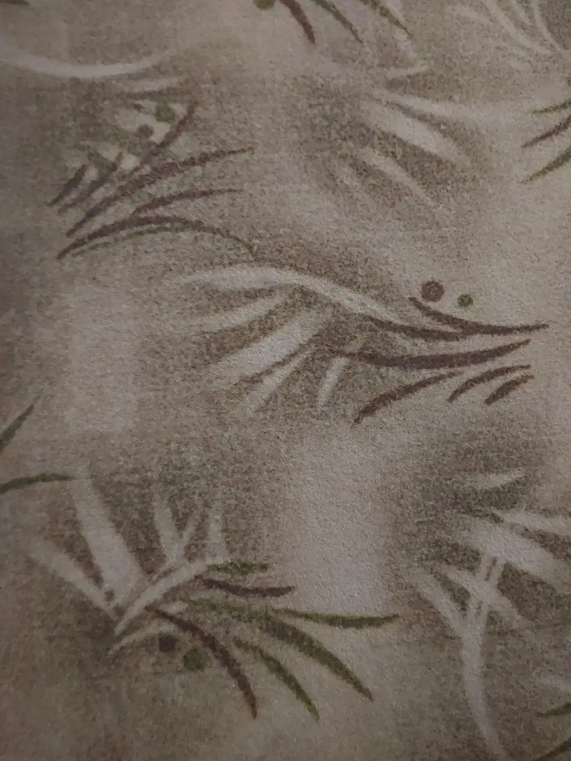 موکت|موکت|زنجان, |دیوار