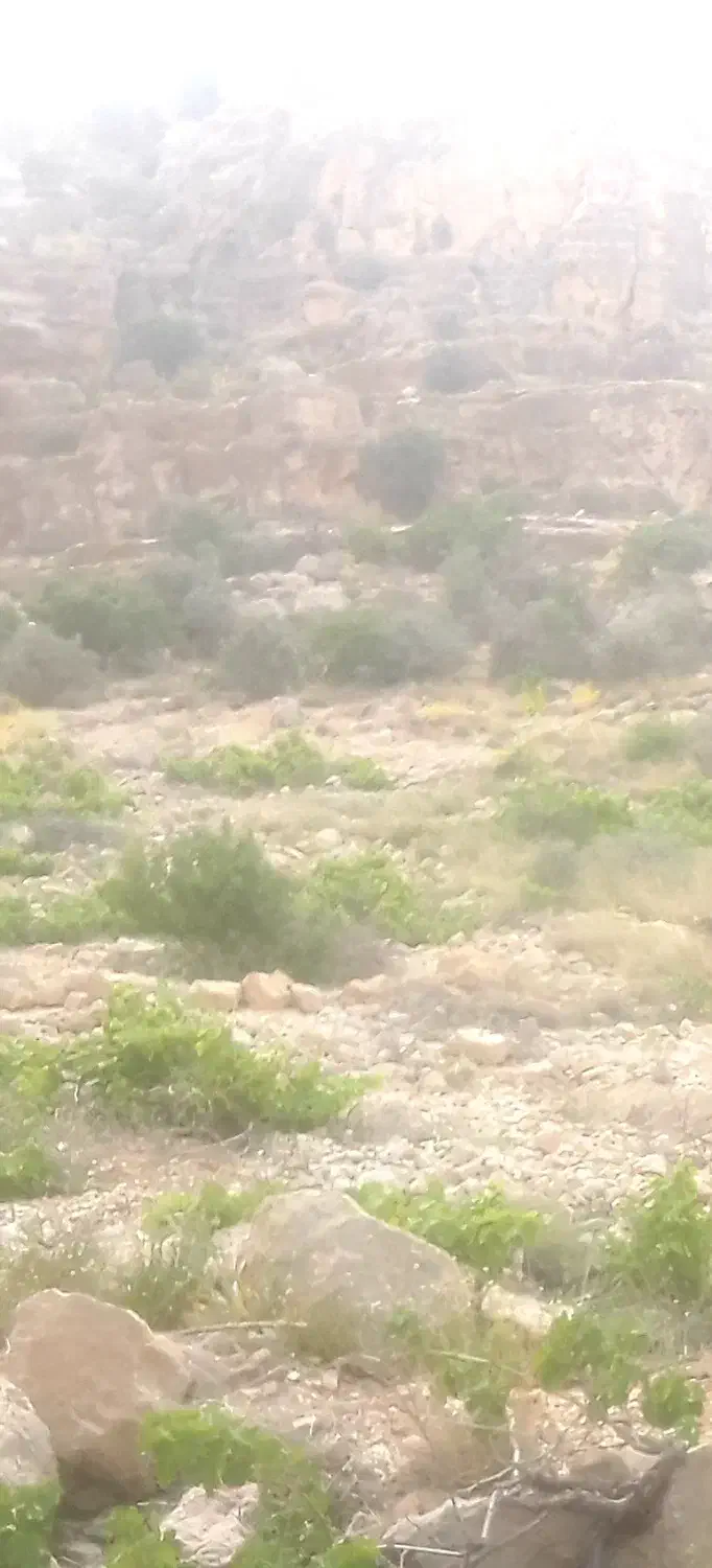 ملک|فروش زمین و ملک کلنگی|نیریز, |دیوار