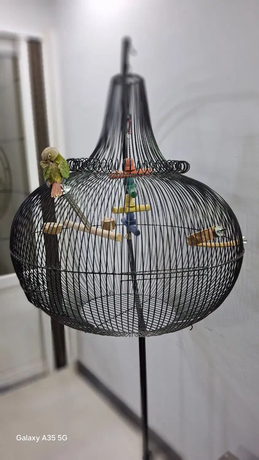 قفس آویز بزرگ طوطی با ساخت سفارشی|لوازم جانبی حیوانات|کرج, باغستان|دیوار